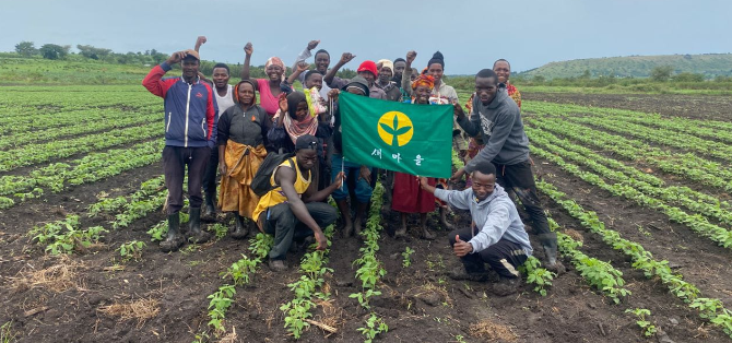 Bwengye Millers crops, mechanization, produce and value addition