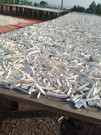 Bwengye Millers crops, mechanization, produce and value addition